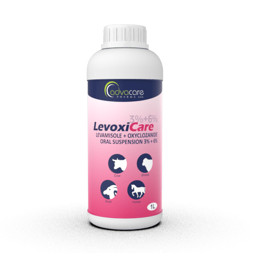 Oxyclozanide + Levamisole Oral Suspension