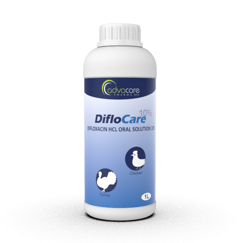 Solution orale de difloxacine
