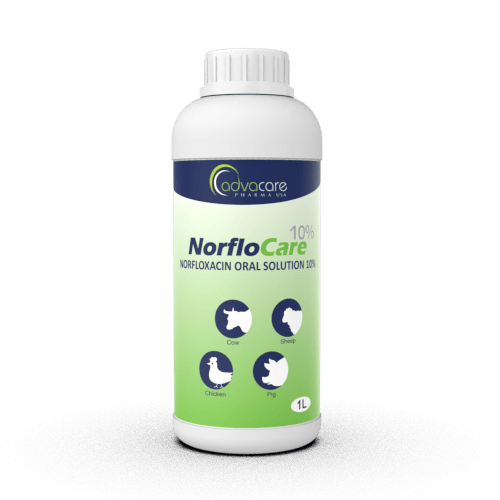 Solution orale de norfloxacine