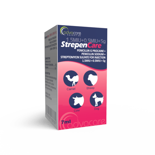 Procaine Penicillin + Dihydrostreptomycin Sulfate Powder for Injection