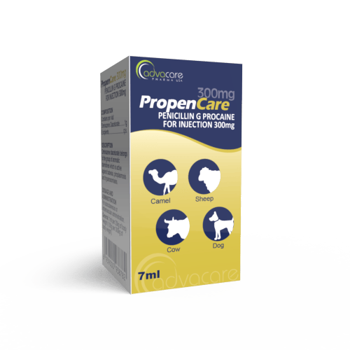Procaine Penicillin Powder for Injection Manufacturer 1