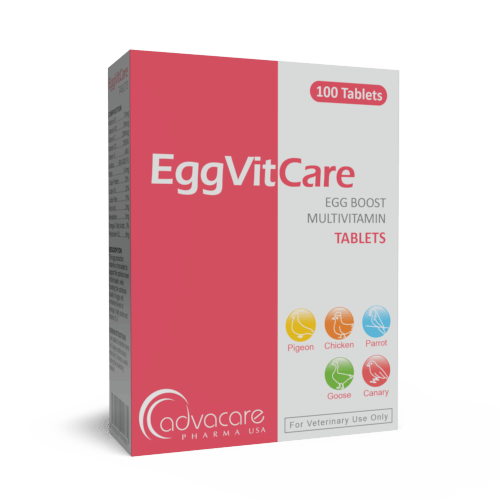 Egg Boost Multivitamin Tablets