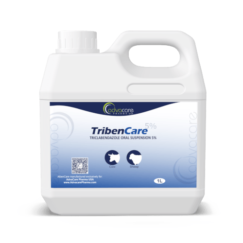 Triclabendazole Tablets & Boluses Manufacturer 1