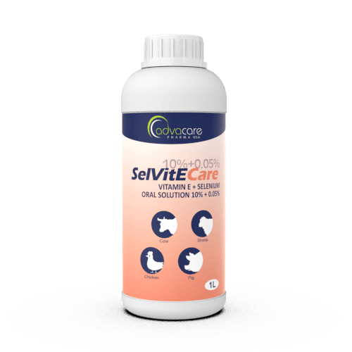 Solution orale de vitamine E + sélénium