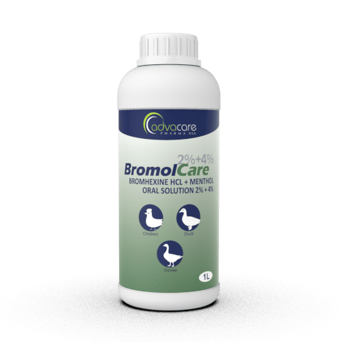 Bromhexine + Menthol Oral Suspensions Manufacturer 1