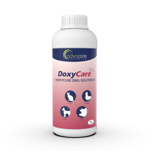 Doxycycline Oral Suspensions Manufacturer 1