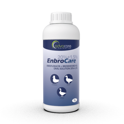 Suspensión Oral de Hidrocloruro de Enrofloxacina + Bromhexina