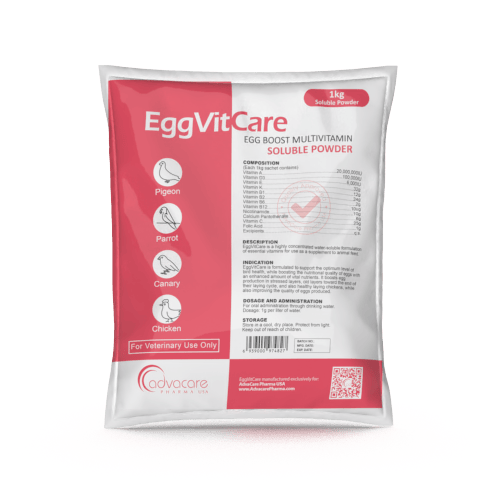 Egg Boost Multivitamin Soluble Powder