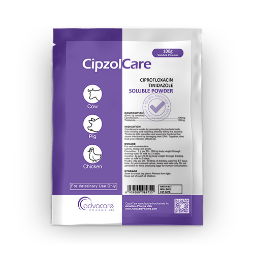 Ciprofloxacin + Tinidazole Oral Powder