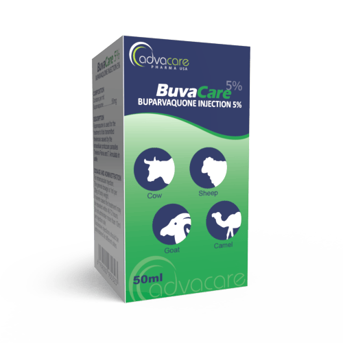 Buparvaquone Injections Manufacturer 1