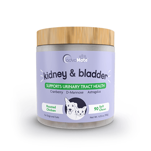 Bladder & Urinary Support